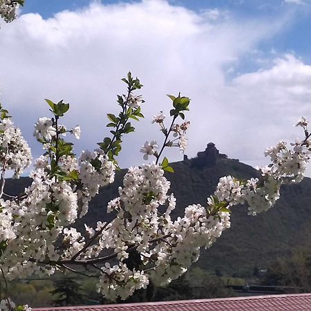 Garden And Panorama Ξενοδοχείο Mtsʼkhetʼa Εξωτερικό φωτογραφία